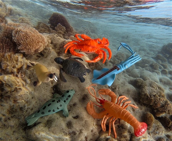 6 Parça Okyanus Hayvan Seti Büyük Boy (10-12cm)