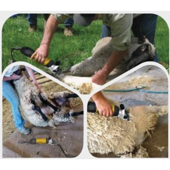 Rtrmax Rtm923 Koyun Kırpma Makinası - 3