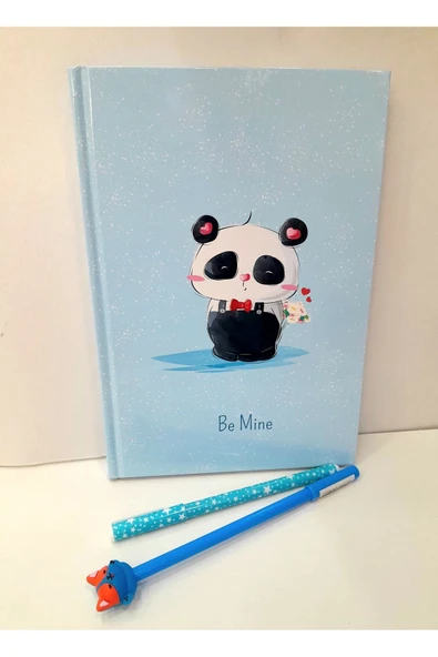 PANDA OKUL -HATIRA-ANI GÜNLÜK DEFTERİ -KEDİ JEL KALEM-TÜKENMEZ KALEM OKUL SETİ - 2