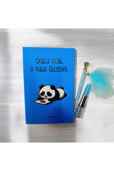 yazılı sözlü sert kapak Hatıra Defteri Günlük Anı defteri taşlı tüylü kalem ve ruj kalem
