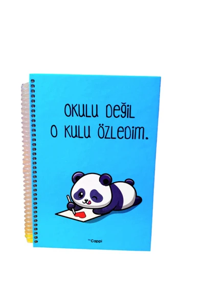 PANDA mavi Renk yazılı sözlü sert kapak OKUL DEFTERİ Günlük Anı defteri NOT DEFTERİ VE AJANDA - 2