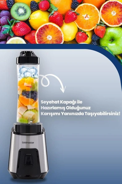 GOLDMASTER MİXUP GM-7259 KİŞİSEL BLENDER INOX - 8