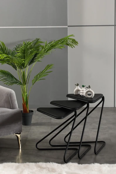 FAYMEND Bumerang 3lü Set Sehpa 'Mat Siyah' - Resim 3