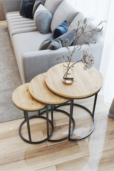 ECOL DESİNGS Ecol 3 Lü C Zigon Sehpa Mat Siyah Atlantik Çam - Resim 2