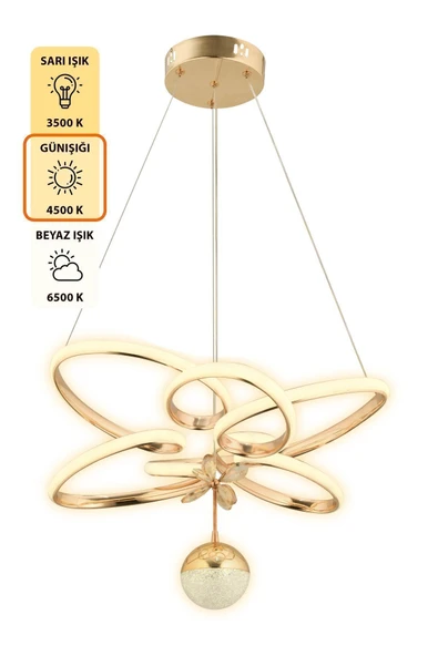 Capella Aydınlatma Felix Kumandalı 3 Renk Işık Özellikli Modern Gold Kaplama Sarkıt Led Avize Salon Avize - 5