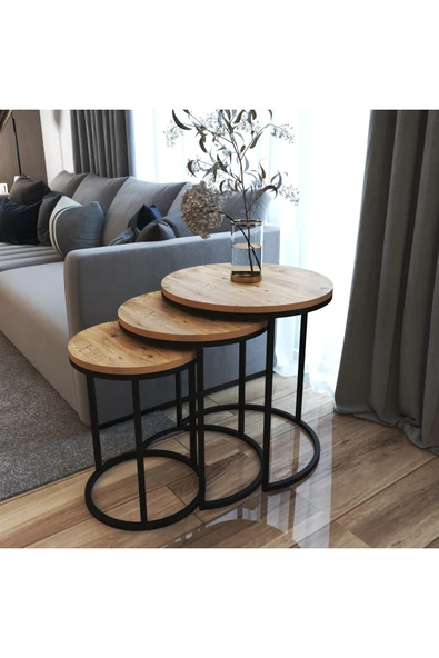 ECOL DESİNGS Ecol 3 Lü C Zigon Sehpa Mat Siyah Atlantik Çam - Resim 3