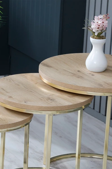FAYMEND 3lü Lüx C Zigon Sehpa Gold Rivoli - 2