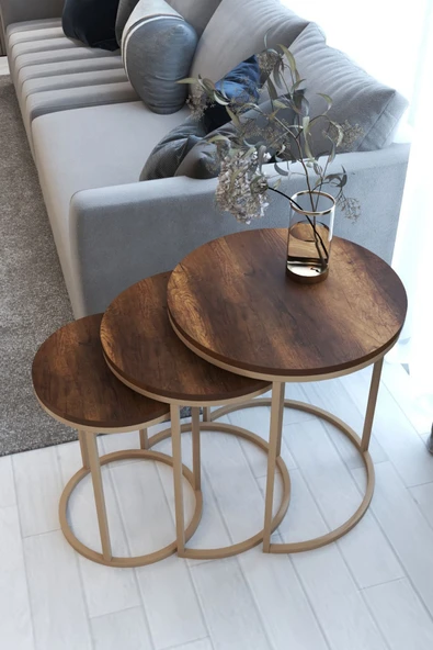 ECOL DESİNGS Ecol 3lü Lüx C Zigon Sehpa Capicino Ceviz - Resim 2