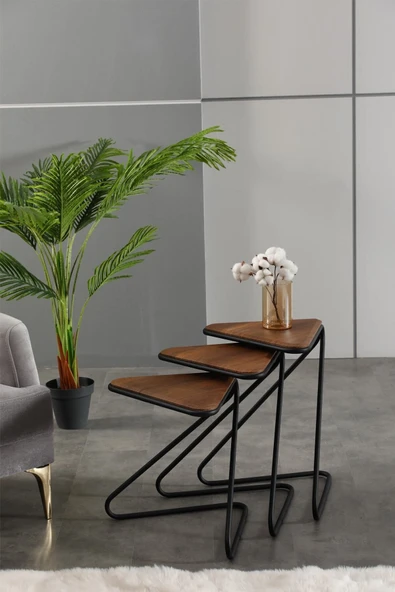 FAYMEND Bumerang 3lü Set Sehpa 'Siyah Koyu Ceviz' - Resim 3