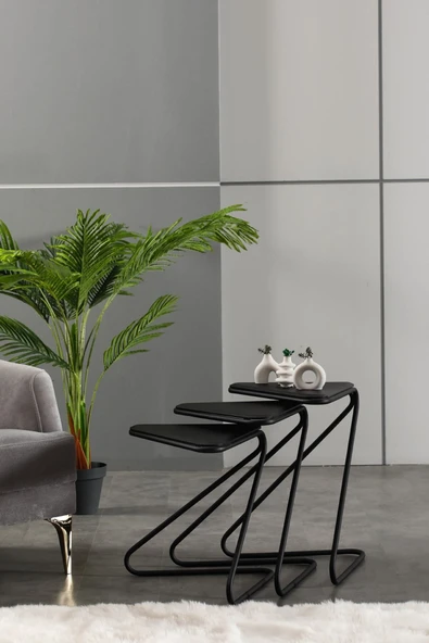 FAYMEND Bumerang 3lü Set Sehpa 'Mat Siyah' - Resim 2