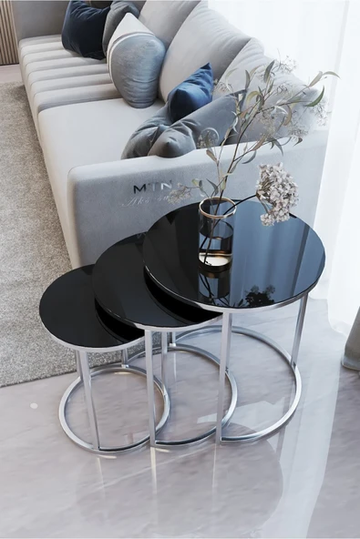 ECOL DESİNGS Ecol Gümüş Zigon Sehpa siyah Kırılmaz Cam - Resim 2