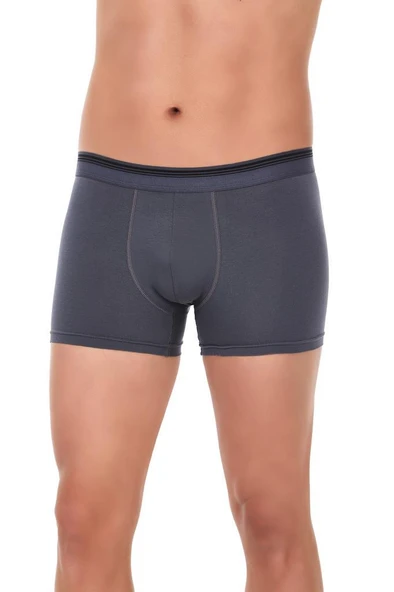3 Adet Yıldız Erkek Likralı Formen Boxer Short Füme 369