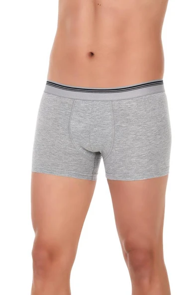 3 Adet Yıldız Erkek Likralı Formen Boxer Short Gri 367