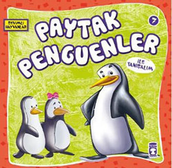 Paytak Penguenler İle Tanışalım - Sevimli Hayvanlar HEYET HEYET
