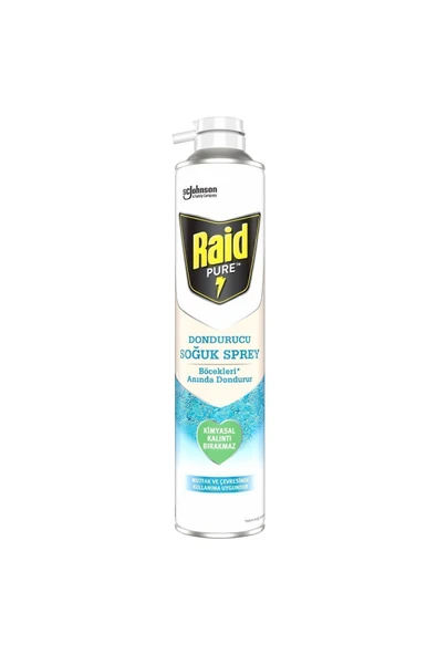 Raid Pure Böcek Dondurucu Sprey 350 ml - 2