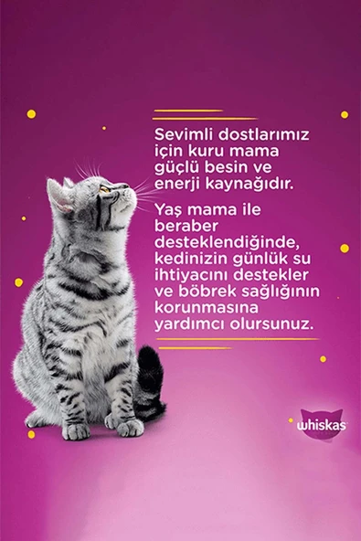 Whiskas Pouch Jöle Içinde Somonlu/ton Balıklı Kedi Konservesi 85gr ( 4´lü ) - 3