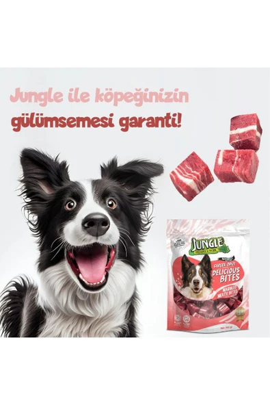 Jungle Gerçek Köpek Ödül Maması Et Parçaları 100 Gr