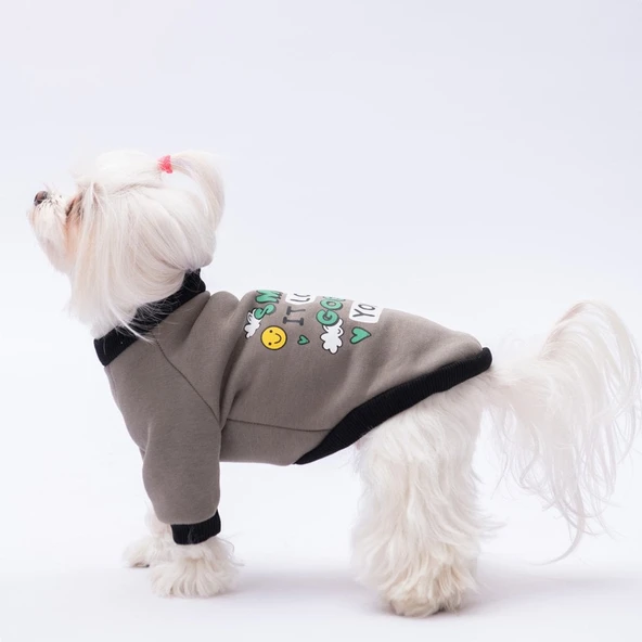 PawStar Füme Loviisa Sweat Küçük ve Orta Irk - 3