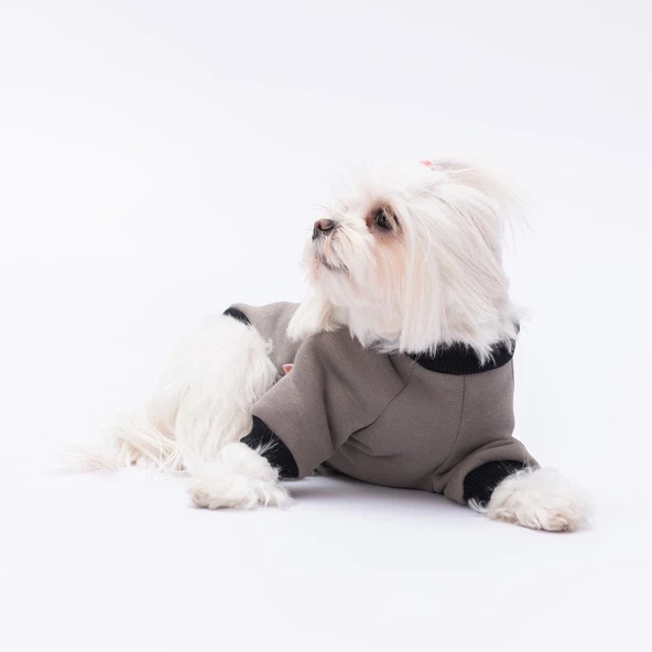 PawStar Füme Loviisa Sweat Küçük ve Orta Irk - 4