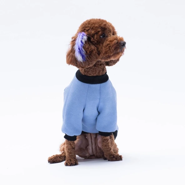 PawStar Mavi Loviisa Sweat Küçük ve Orta Irk - 2