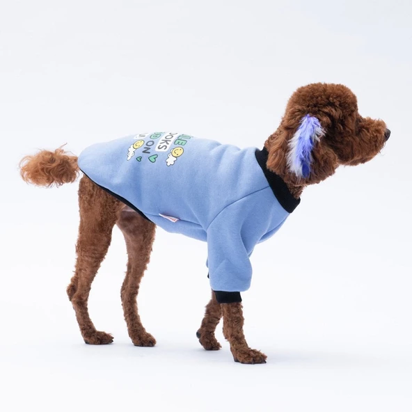 PawStar Mavi Loviisa Sweat Küçük ve Orta Irk - 5