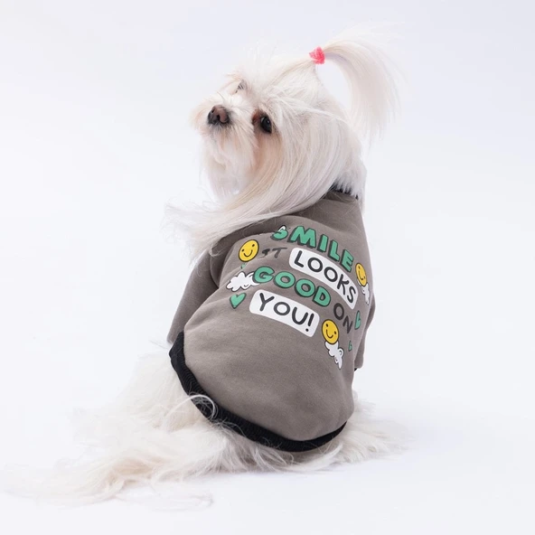 PawStar Füme Loviisa Sweat Küçük ve Orta Irk - 1
