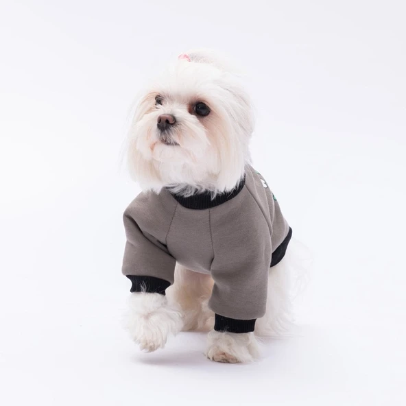 PawStar Füme Loviisa Sweat Küçük ve Orta Irk - 2