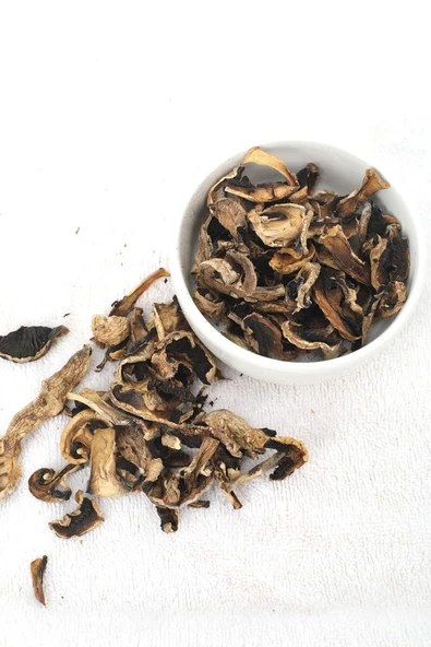 Kuru Kültür Mantarı 250 GR - 3
