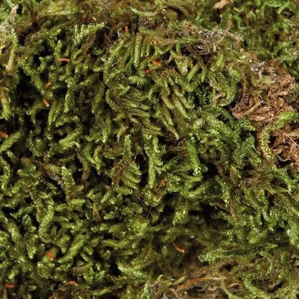 Trixie Nem Tutan Teraryum Taban Malzemesi 200 Gr - 2