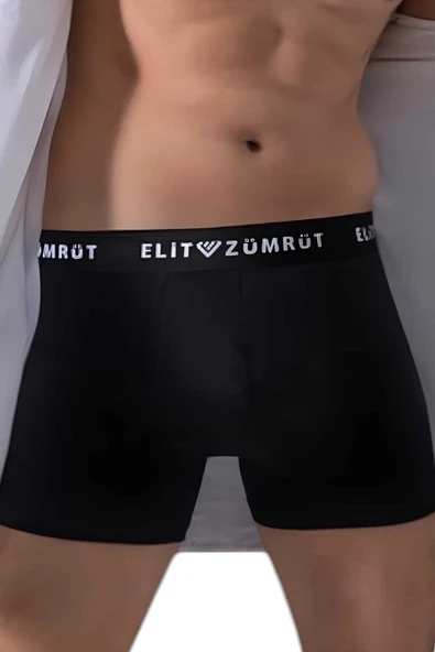 Erkek Pamuklu Likralı  12'li  Boxer - 2