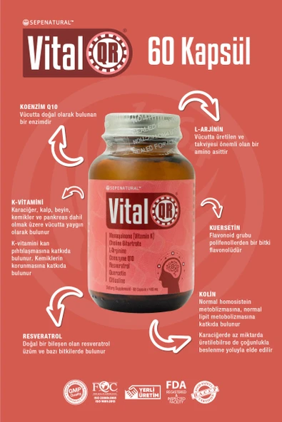 VİTALQR 60 KAPSÜL X 405 MG - 4