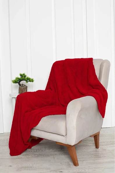 Shopyteks Wellsoft Tv Battaniyesi - 145x180 - Resim 2