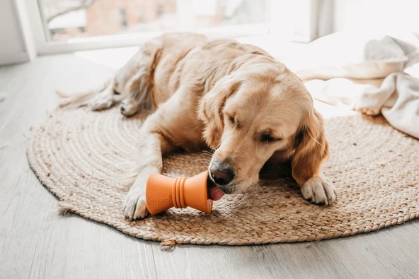 Beeztees Sumo Makara Şeklinde Dental Oyuncak 10x7 - Resim 2