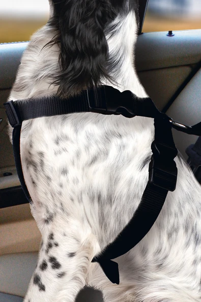 Karlıe Köpek Araç İçi Göğüs Tasması Siyah (68-86) - Resim 2