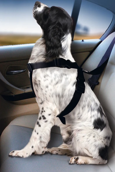 Karlıe Köpek Araç İçi Göğüs Tasması Siyah (68-86) ürün görseli