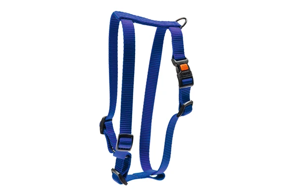 Karlıe Köpek Göğüs Tasması M Mavi 45-70x2 ürün görseli