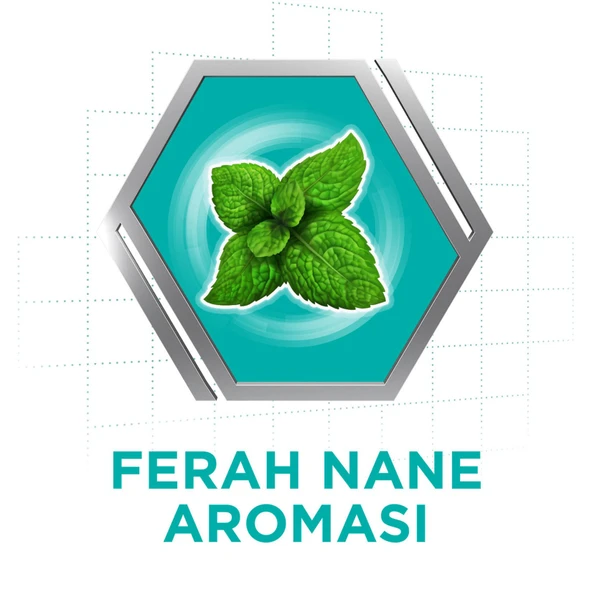 Corega Diş Protezi Yapıştırıcı Krem 40 Gr 2 Adet - 4