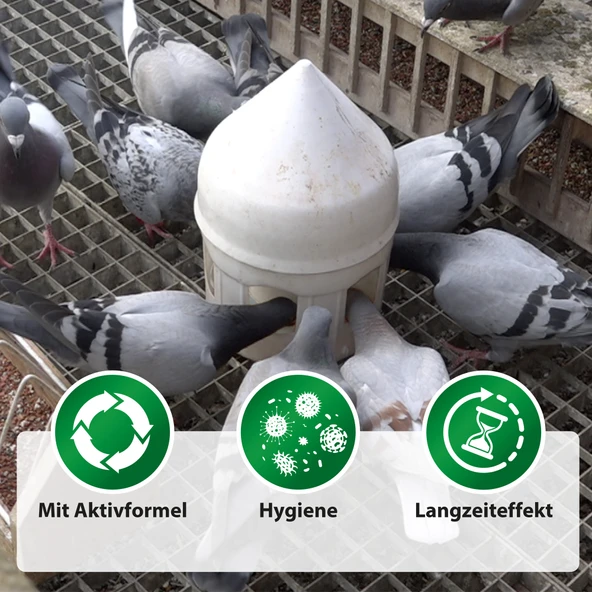 Röhnfried Avidress Plus Metabolizma İyileştiricisi 1000ml - 5