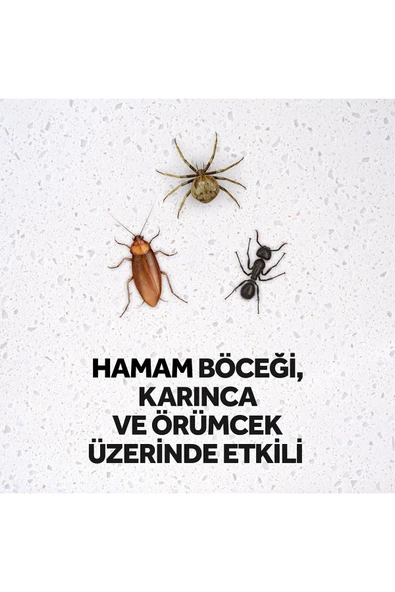 Raid Böcek Öldürücü Sprey, 300 Ml (hamam Böceği, Karınca Ve Örümceklere Karşı) X2 - 3