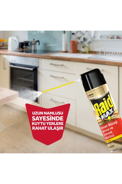 Raid Max Kokusuz Böceksavar 300 Gr - 5