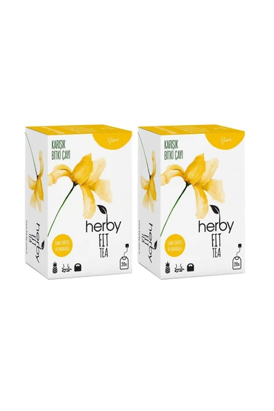 Herby Fit Tea Elma Sirkeli Ananaslı Diyete Destek Form Bitki Çayı 2'li Paket - 2
