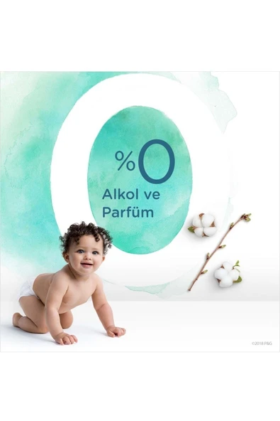 Prima Islak Havlu Mendil Aqua Pure - 48 Yaprak 12'li Set - 3