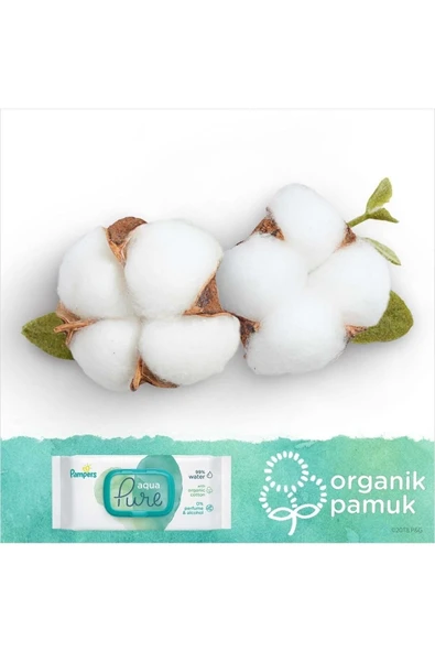 Prima Islak Havlu Mendil Aqua Pure - 48 Yaprak 12'li Set - 4