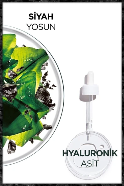 Garnier Skin Naturals Kömürlü Kağıt Yüz Maskesi Siyah Yosun - 4