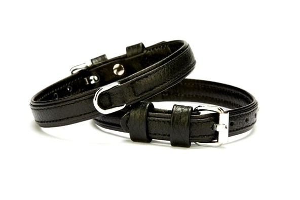 Doggie Flotter Deri Köpek Boyun Tasması 1,5-20x25 cm Siyah ürün görseli