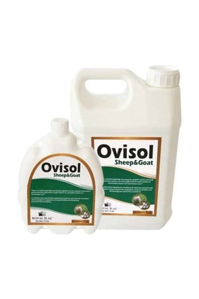 Ovisol Sheep 1 Lt Koyunlar Için Sıvı Yem Katkısı