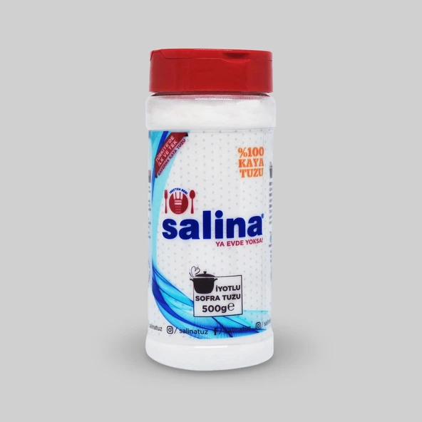 SALİNA TUZLUK 500GR