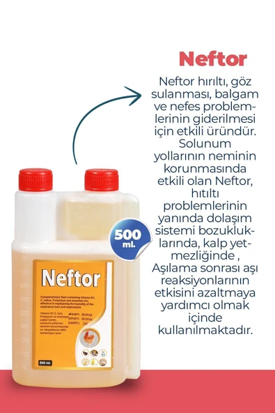2li Set Kuşlar Için Farmatom Vitamin 1 Lt Neftor Hırıltı Seti 500 ml - 3