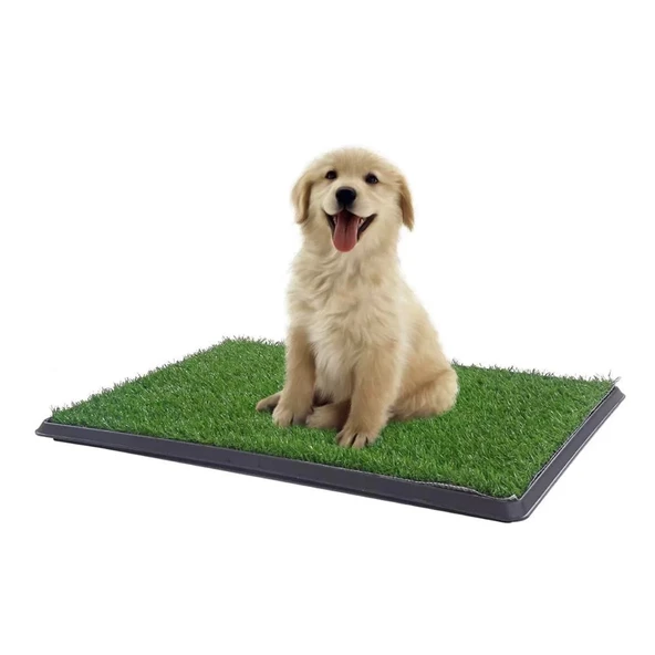 Yavru Köpek Tuvalet Eğitim Parkı 3 Katmanlı - 45cm X 32 Cm