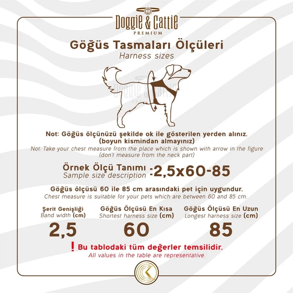Doggie Comfort Ronin Köpek Bel Tasması 3cm-75 x 85 cm 3X-Large Turuncu - 2